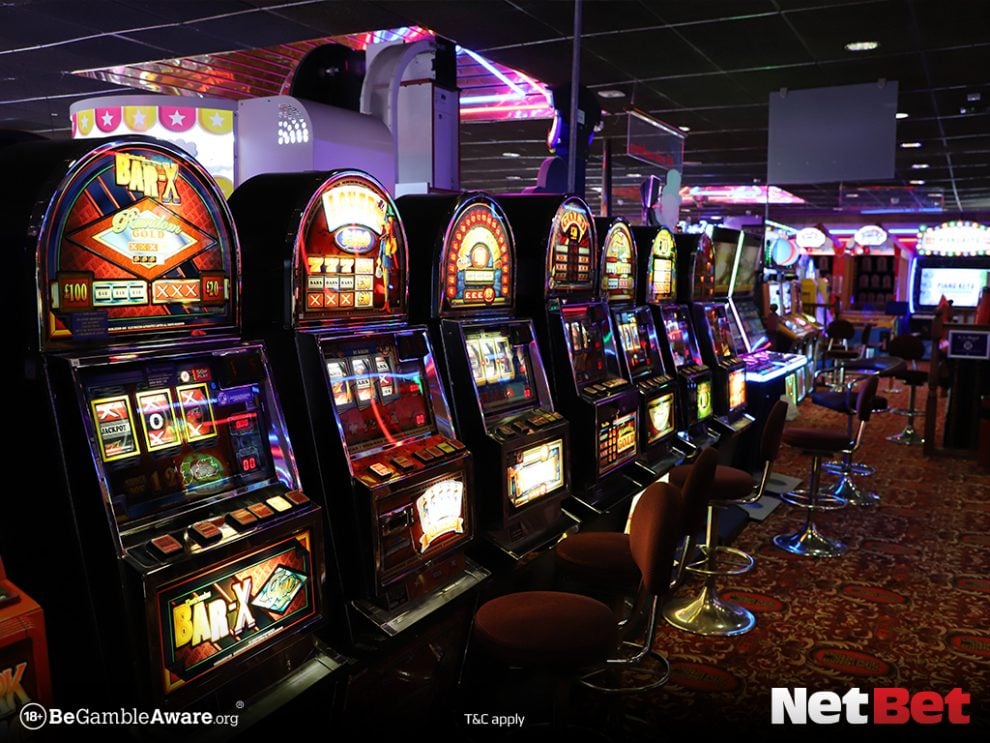 jerrypg - Plataforma Bet Login